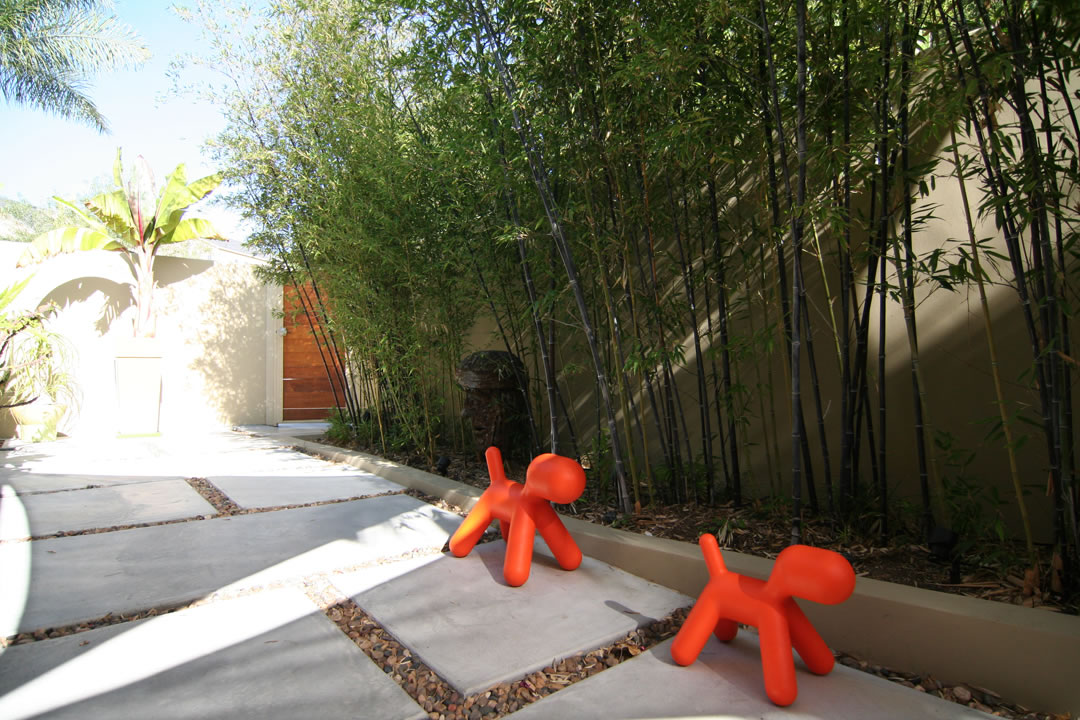 Steven Residence 3